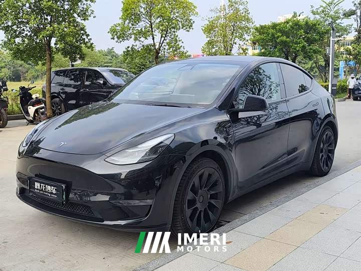 Tesla Model Y Standard Range RWD - ავტომობილი ჩინეთიდან