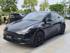 Tesla Model Y Standard Range RWD - ფოტო 1