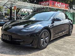Tesla Model 3 Standard Range RWD Upgrade 3D6 - ფოტო 1