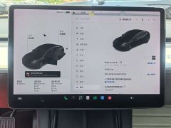 Tesla Model 3 Standard Range RWD Upgrade 3D6 - ფოტო 14