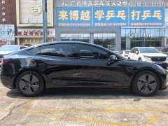 Tesla Model 3 Standard Range RWD Upgrade 3D6 - ფოტო 5