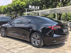 Tesla Model 3 Standard Range RWD Upgrade 3D6 - ფოტო 8