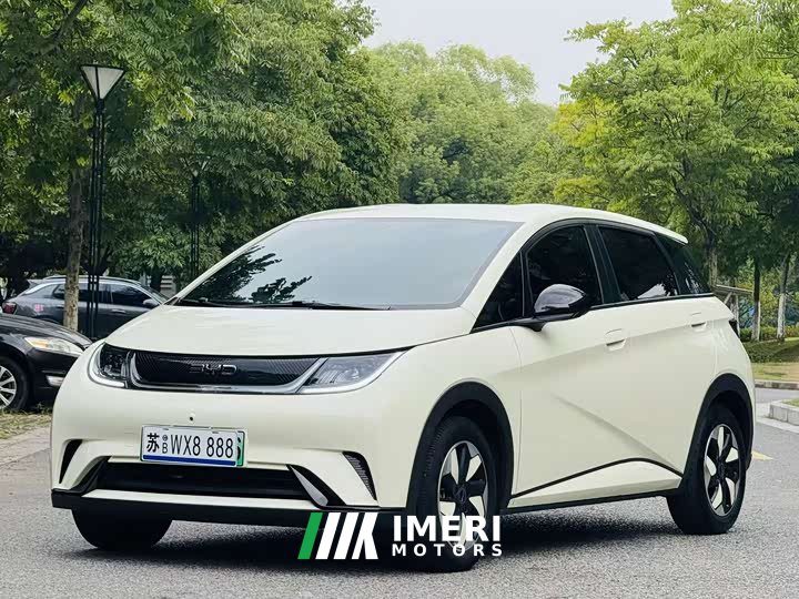 BYD Dolphin Glory Edition 420km Fashion Version