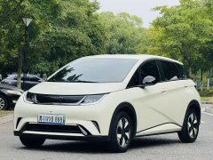 BYD Dolphin 2024 Glory Edition 420km Fashion Version - ფოტო 1