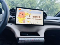 BYD Dolphin 2024 Glory Edition 420km Fashion Version - ფოტო 16