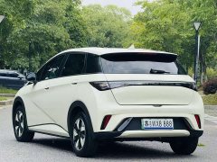 BYD Dolphin 2024 Glory Edition 420km Fashion Version - ფოტო 4