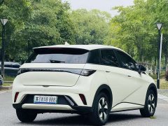 BYD Dolphin 2024 Glory Edition 420km Fashion Version - ფოტო 6