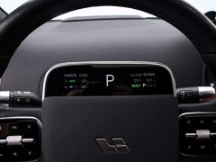 Li Auto L7 MAX - ფოტო 6