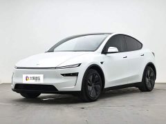 Tesla Model Y Long Range All-Wheel Drive Launch Edition - ფოტო 1