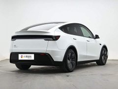 Tesla Model Y Long Range All-Wheel Drive Launch Edition - ფოტო 3