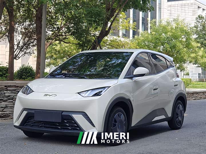 BYD Seagull 2024 Glory Edition 305km Vitality Version - ავტომობილი ჩინეთიდან