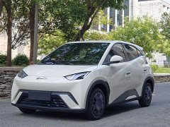 BYD Seagull 2024 Glory Edition 305km Vitality Version - ფოტო 1