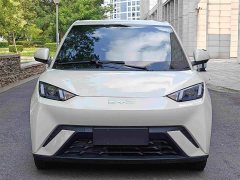 BYD Seagull 2024 Glory Edition 305km Vitality Version - ფოტო 2