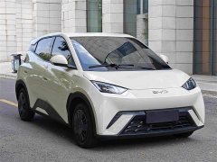 BYD Seagull 2024 Glory Edition 305km Vitality Version - ფოტო 3