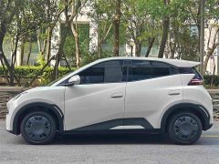 BYD Seagull 2024 Glory Edition 305km Vitality Version - ფოტო 5