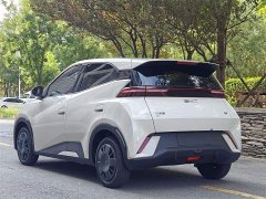 BYD Seagull 2024 Glory Edition 305km Vitality Version - ფოტო 6