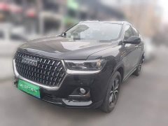 Haval H6 2023 National Trend Edition 1.5T Automatic Urban Version - ფოტო 1
