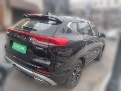 Haval H6 2023 National Trend Edition 1.5T Automatic Urban Version - ფოტო 4