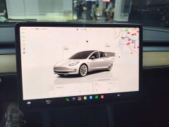 Tesla Model 3 Rear-Wheel Drive - ფოტო 13