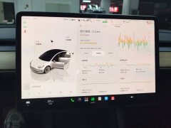 Tesla Model 3 Rear-Wheel Drive - ფოტო 14