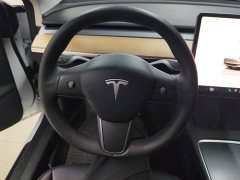 Tesla Model 3 Rear-Wheel Drive - ფოტო 15