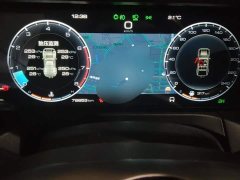 Tank 300 Off-Road Edition 2.0T Conqueror - ფოტო 14