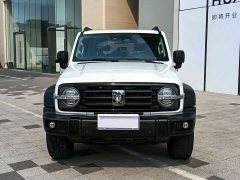 Tank 300 2023 Off-Road Edition 2.0T Conqueror - ფოტო 2