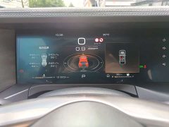 Tank 300 2023 Off-Road Edition 2.0T Conqueror - ფოტო 9