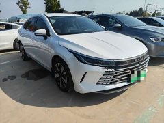 BYD Destroyer 05 DM-i 55KM Luxury - ფოტო 3