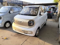 FAW Besturn Xiaoma 222km Colorful Edition - ფოტო 1