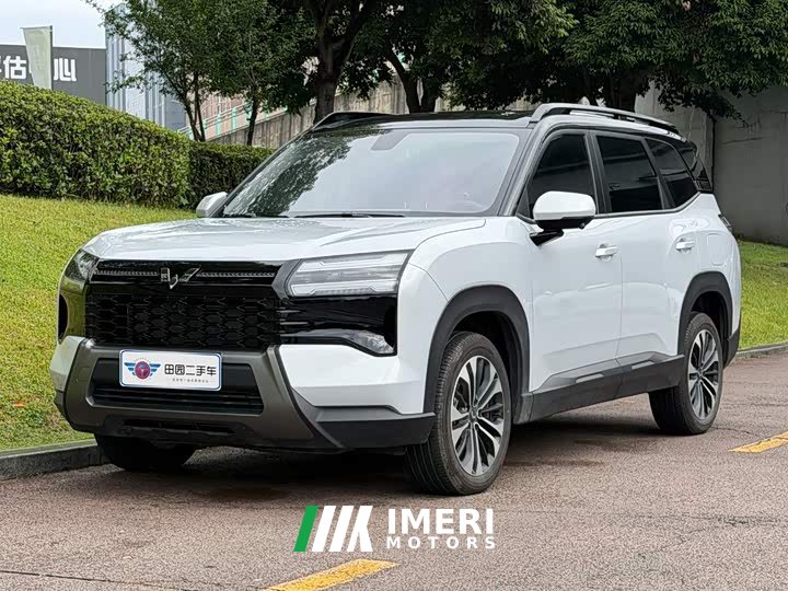 Wuling Starlight 560 New Energy Plug-in Hybrid 125km Luxury - ავტომობილი ჩინეთიდან