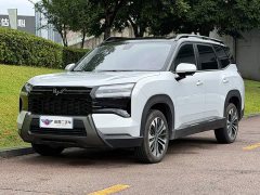 Wuling Starlight 560 New Energy Plug-in Hybrid 125km Luxury - ფოტო 1