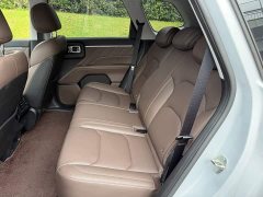 Wuling Starlight 560 New Energy Plug-in Hybrid 125km Luxury - ფოტო 12