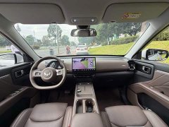 Wuling Starlight 560 New Energy Plug-in Hybrid 125km Luxury - ფოტო 13