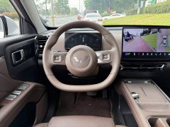 Wuling Starlight 560 New Energy Plug-in Hybrid 125km Luxury - ფოტო 14