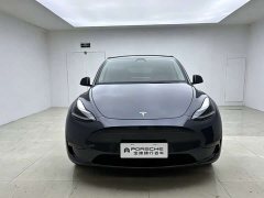 Tesla Model Y Long Range All-Wheel Drive - ფოტო 1