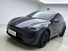 Tesla Model Y Long Range All-Wheel Drive - ფოტო 2