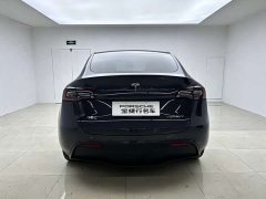 Tesla Model Y Long Range All-Wheel Drive - ფოტო 4