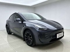 Tesla Model Y Long Range All-Wheel Drive - ფოტო 6