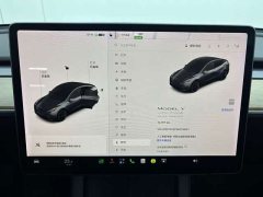Tesla Model Y Long Range All-Wheel Drive - ფოტო 8