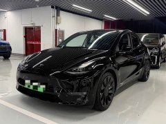 Tesla Model Y Performance All-Wheel Drive - ფოტო 1