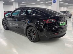 Tesla Model Y Performance All-Wheel Drive - ფოტო 10