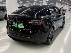 Tesla Model Y Performance All-Wheel Drive - ფოტო 9