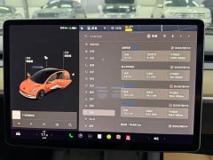 Tesla Model 3 Facelift Standard Range RWD Upgrade 3D1 - ფოტო 8