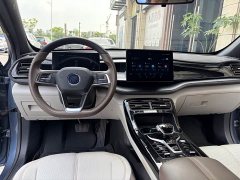 BYD Qin PLUS Glory Edition DM-i 55KM Leading - ფოტო 8