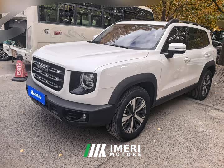 Great Wall Dachshund 1.5T DCT Two-Wheel Drive Labrador Edition - ავტომობილი ჩინეთიდან