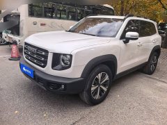 Great Wall Dachshund 1.5T DCT Two-Wheel Drive Labrador Edition - ფოტო 1