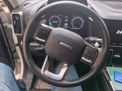 Great Wall Dachshund 1.5T DCT Two-Wheel Drive Labrador Edition - ფოტო 15