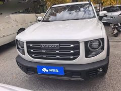 Great Wall Dachshund 1.5T DCT Two-Wheel Drive Labrador Edition - ფოტო 2