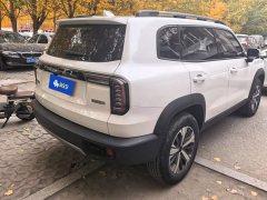 Great Wall Dachshund 1.5T DCT Two-Wheel Drive Labrador Edition - ფოტო 3
